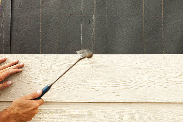 Best Brick Veneer Siding  in Cleveland, FL
